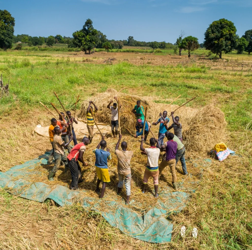 photo video profoto afrique image banque agriculture abidjan nabil zorkot