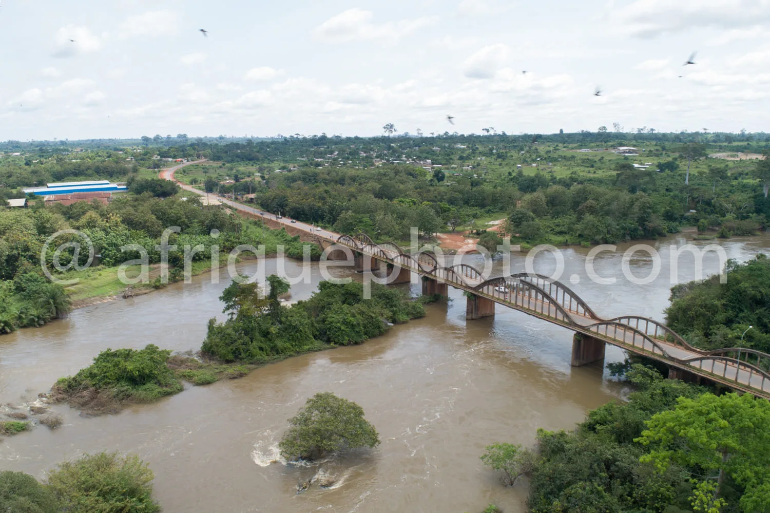 Africa photo — Vue aérienne d'un pont métallique en arc traversant une rivière aux eaux brunes, entouré de végétation dense et de petites îles végétal