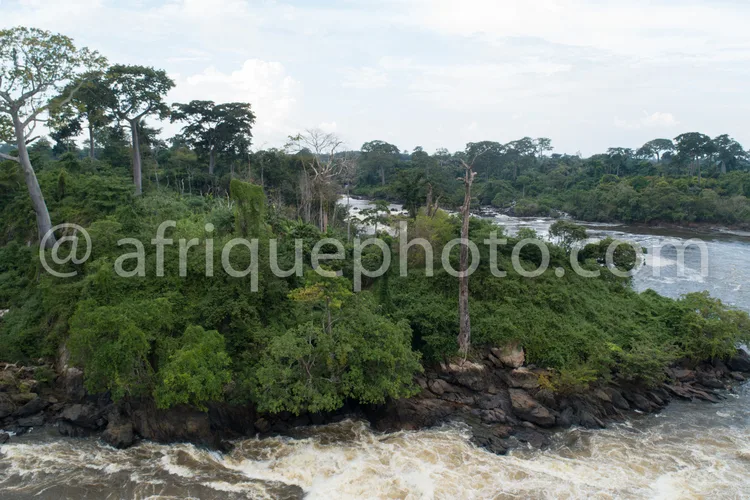 Africa photo — Une vue aérienne d’une rivière aux eaux turbulentes entourée d’une forêt tropicale dense avec des arbres imposants et une végétation lu