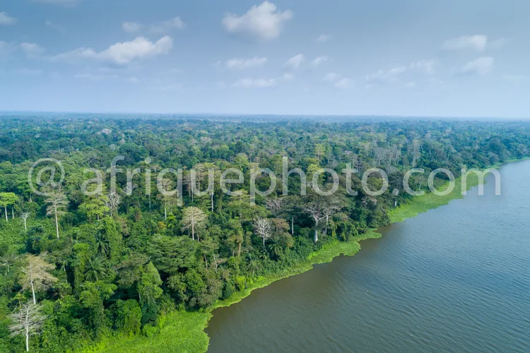 Africa photo — Une vue aérienne montrant une forêt tropicale luxuriante bordant une large rivière aux eaux calmes, sous un ciel dégagé avec quelques n