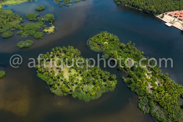 Africa photo — Une vue aérienne de mangroves formant naturellement des îles en forme de cœur dans une étendue d’eau calme, entourées de végétation den