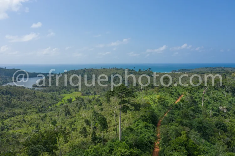 Africa photo — Image montrant une dense forêt tropicale avec une piste rouge sinueuse au premier plan, une étendue d'eau turquoise et un horizon océan