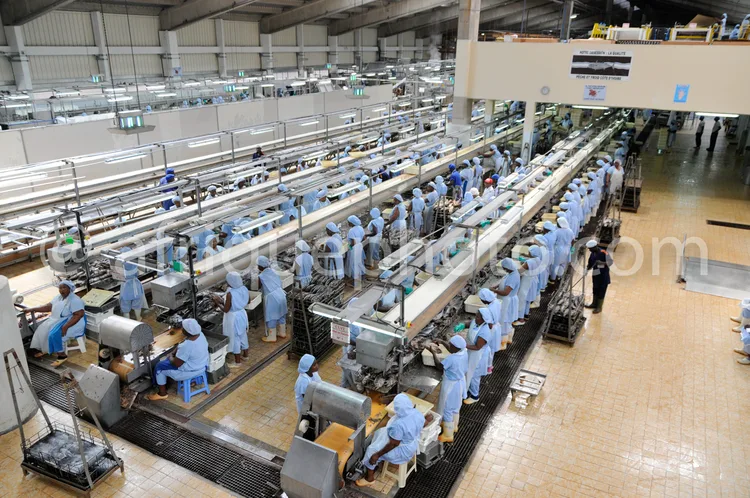 Africa photo — Vue aérienne d'une usine moderne où des employés vêtus de blouses blanches et de bonnets travaillent sur une longue chaîne de productio