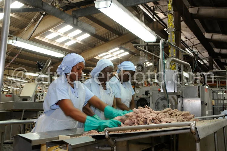 Africa photo — Trois personnes vêtues de tenues blanches et de coiffes hygiéniques travaillent ensemble sur une table métallique remplie de morceaux d