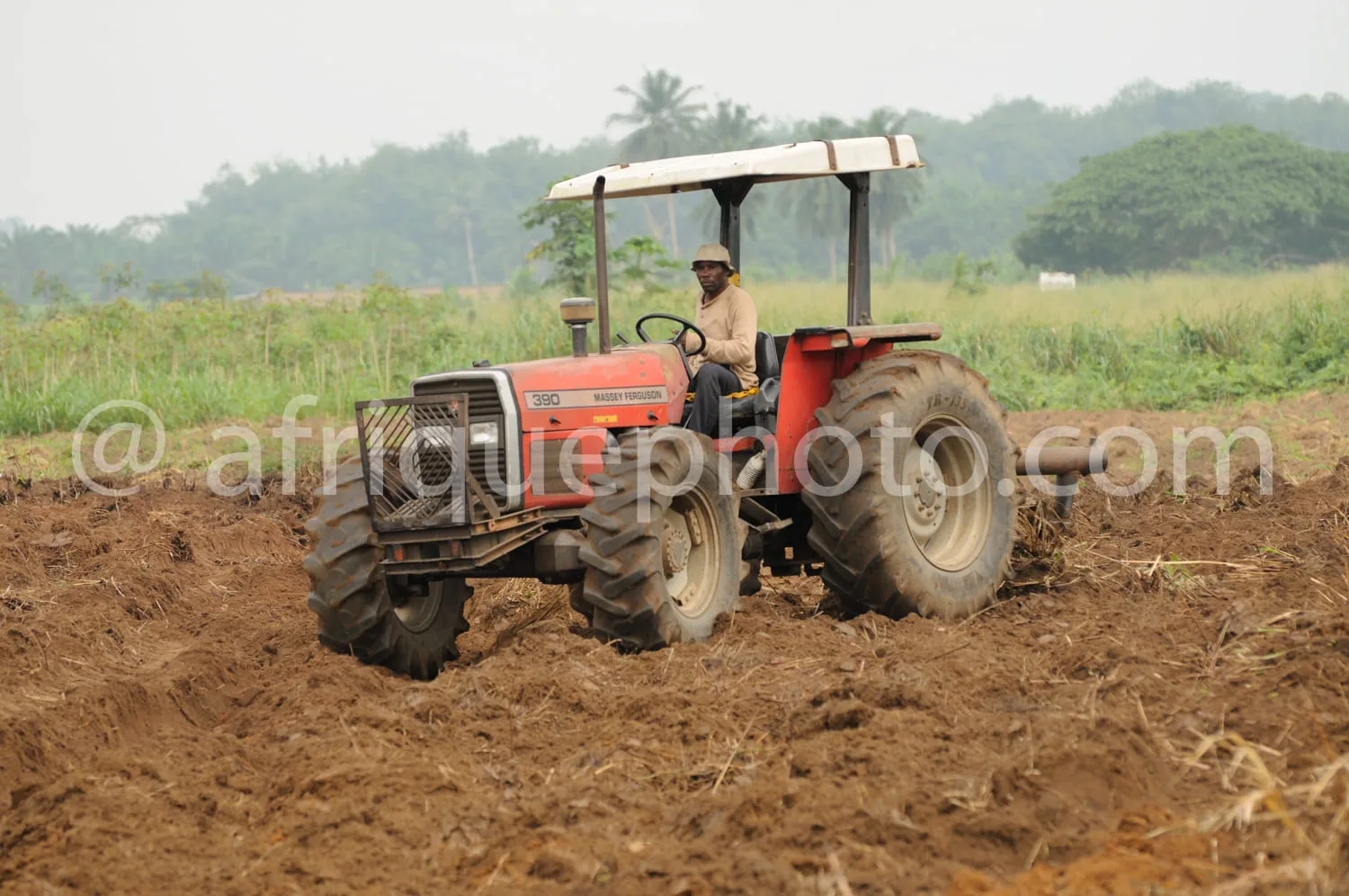 Africa photo — Un tracteur rouge avec un conducteur assis sous un auvent, labourant un champ de terre meuble entourée de végétation verte et de palmie
