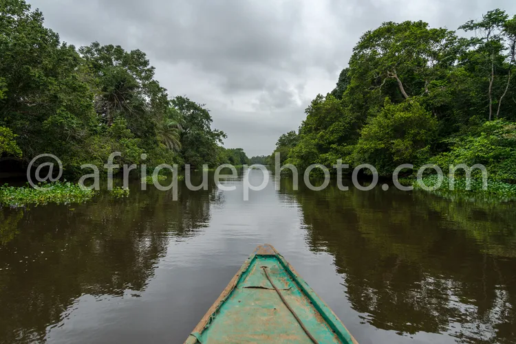Africa photo — Une pirogue verte vue de l'intérieur, glissant sur une rivière calme entourée d'une épaisse végétation tropicale, avec un ciel couvert
