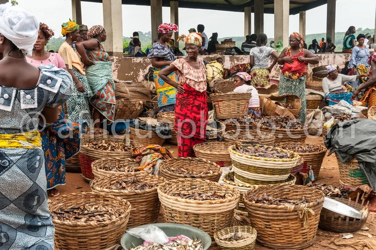 Africa photo — Une scène animée d’un marché couvert où des femmes, vêtues de robes colorées et de foulards, manipulent des paniers en osier remplis de