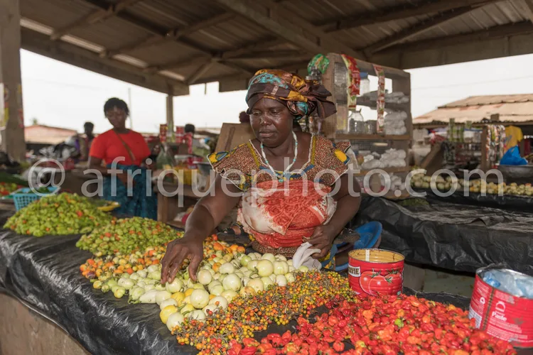 Africa photo — Une femme vêtue d’un foulard coloré et d’une robe traditionnelle manipule des avocats mûrs, des tomates cerises et des poivrons rouges