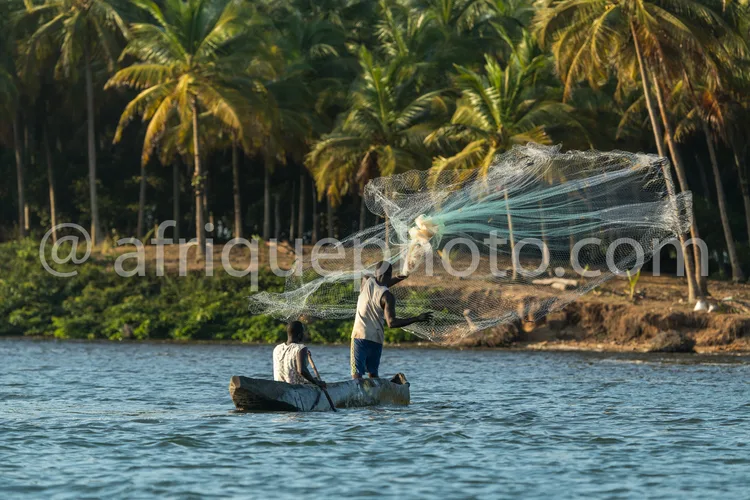 Africa photo — Deux pêcheurs sur une pirogue lancent un large filet transparent dans une eau calme, entourés de palmiers et d’une végétation luxuriant