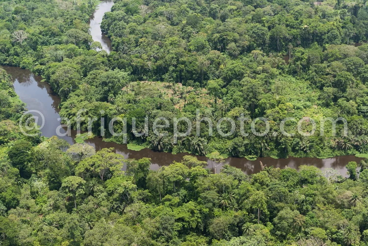 Africa photo — Vue aérienne d'une forêt tropicale dense et verdoyante traversée par des rivières sinueuses, offrant un paysage riche en biodiversité e