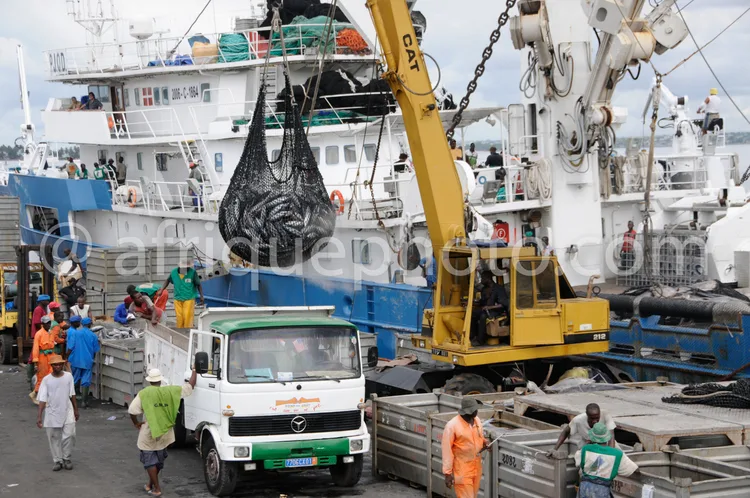 Africa photo — Un navire blanc amarré au port utilise une grue jaune pour soulever un gros thon et le déposer dans un camion blanc. Plusieurs travaill
