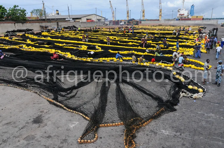Africa photo — Une vaste étendue de filets de pêche noirs et jaunes, étalés sur une surface plane au port, avec plusieurs personnes travaillant autour