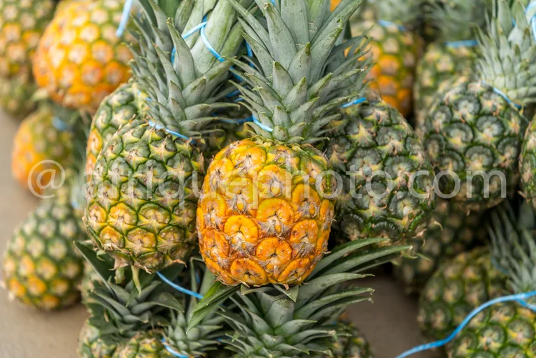 Africa photo — Un groupe d’ananas bien mûrs, aux écailles jaunes et vertes, attachés par des liens bleus, prêts à être vendus sur un étal de marché