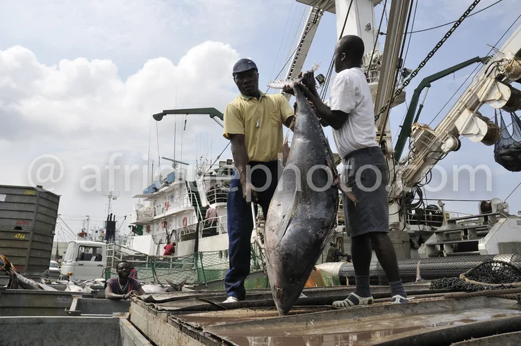 Africa photo — Deux hommes debout sur un bateau de pêche, tenant et soutenant un très grand poisson gris argenté, probablement un marlin ou un espadon