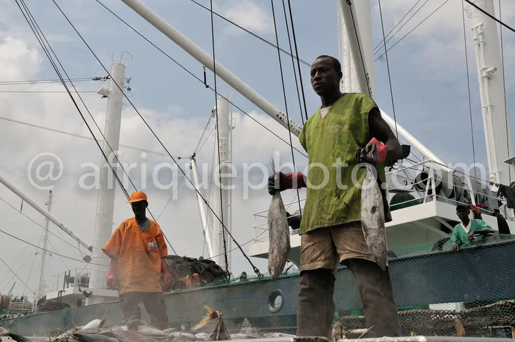 Africa photo — Deux hommes debout sur un bateau de pêche, l’un en chemise verte et l’autre en orange, triant et tenant des poissons frais près de file
