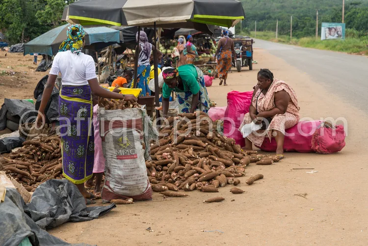 Africa photo — Une scène de marché en extérieur où plusieurs femmes sont assises ou debout autour de sacs remplis d’ignames et d’autres légumes racine