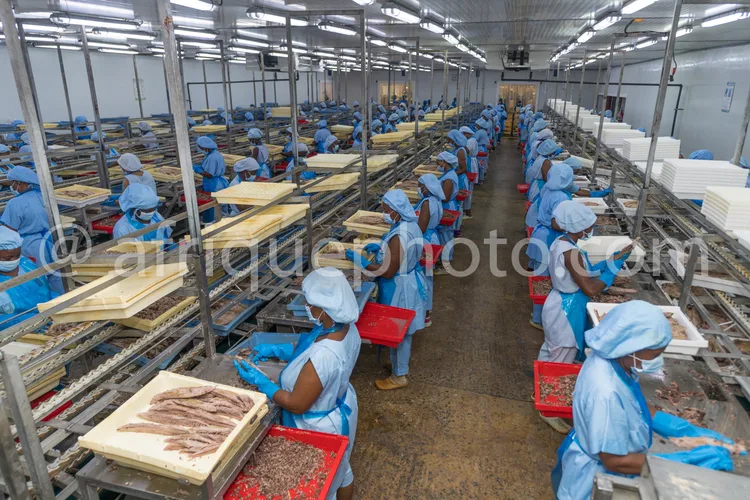 Africa photo — Une longue chaîne de production où des employés vêtus de blouses blanches et de bonnets bleus manipulent des plateaux de biscuits en co