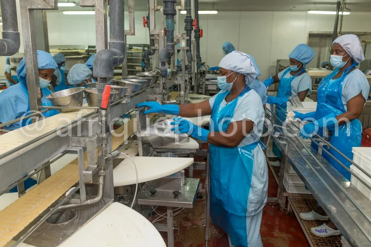 Africa photo — Quatre employés en tenues stériles bleues et blanches, masques et gants, surveillent une chaîne de production alimentaire industrielle