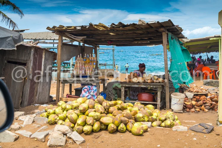 Africa photo — Un étal de marché en bord de mer abrité par une bâche, où un vendeur assis propose des noix de coco entières disposées en tas devant lu