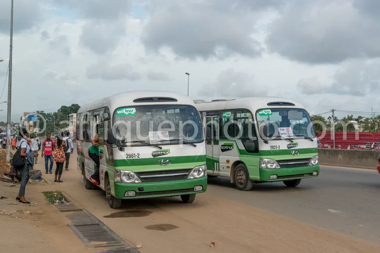Africa photo — Deux bus de transport public, peints en vert et blanc, stationnés côte à côte sur une route. Des passagers attendent sur le trottoir à