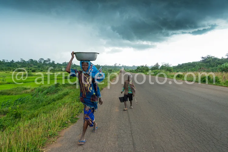 Africa photo — Deux femmes marchent sur une route goudronnée entourée de champs verts. La femme en premier plan porte un grand récipient en équilibre