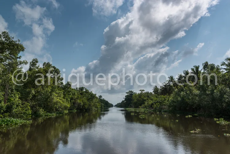 Africa photo — Une rivière paisible bordée de végétation tropicale dense, avec des arbres et des buissons de chaque côté reflétés dans l'eau calme, so