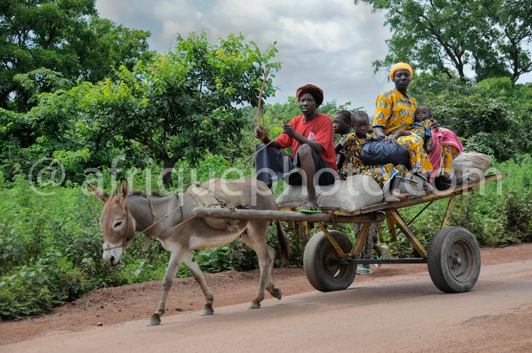 Africa photo — Une famille composée d’un adulte et d’un enfant voyageant sur une charrette en bois tirée par un âne gris sur une route poussiéreuse bo
