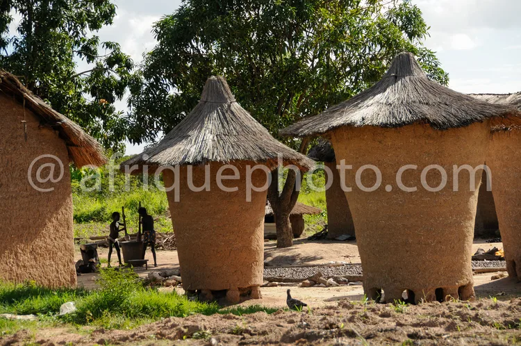 Africa photo — Deux maisons rondes en terre crue avec des toits en chaume, entourées d’un sol en terre battue et de quelques arbres. Une personne est