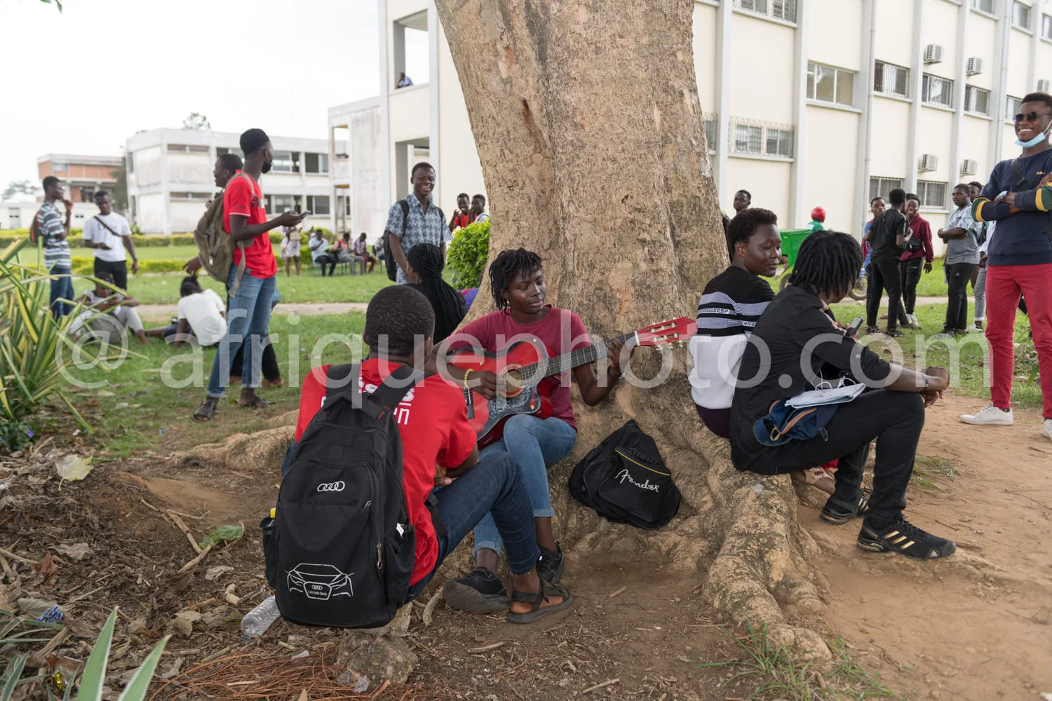 Africa photo — Quatre étudiants assis autour d’un arbre épais sur un campus, certains avec des sacs à dos, discutant ou utilisant leurs téléphones, av