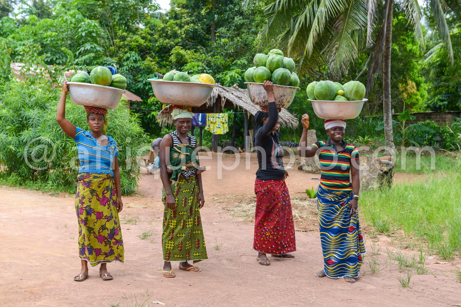 Africa photo — Quatre femmes marchant sur un chemin de terre, chacune portant un grand panier rempli de mangues vertes sur la tête, vêtues de robes co