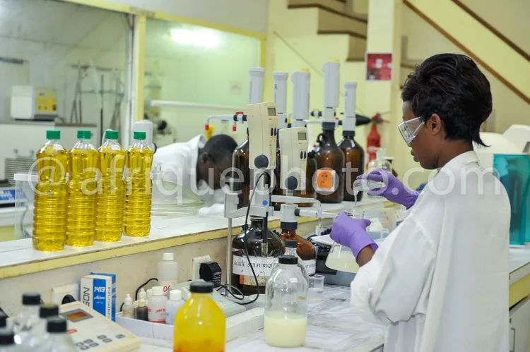 Africa photo — Un technicien en laboratoire, vêtu d'une blouse blanche et de gants violets, travaille près d'une hotte à flux laminaire. On aperçoit d