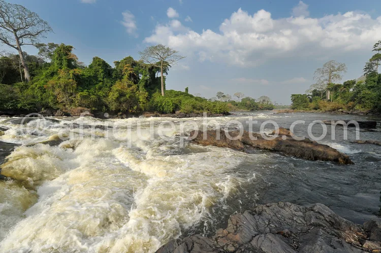 Africa photo — Une rivière forme des cascades et des rapides sur un lit rocheux sombre, entourée d’une dense végétation tropicale avec des arbres impo