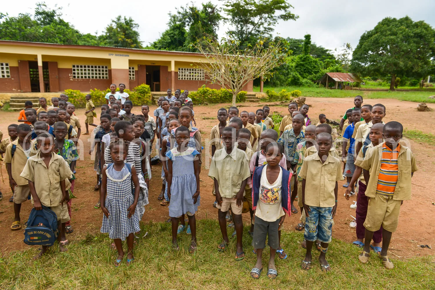 Africa photo — Un groupe d'environ soixante enfants, vêtus d'uniformes scolaires variés, posent souriants devant une école en briques avec un terrain