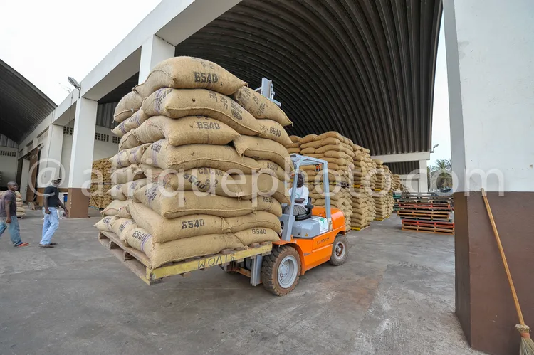 Africa photo — Un chariot élévateur orange transporte une haute pile de sacs en jute remplis de café, marqués du numéro 6540, dans un entrepôt couvert