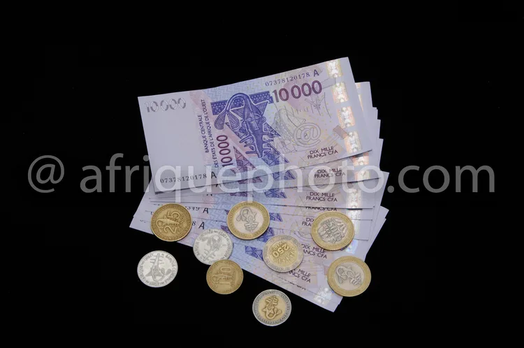 Africa photo — Un ensemble de billets de dix mille francs CFA, reconnaissables à leur couleur violette et leur motif central, entourés de plusieurs pi
