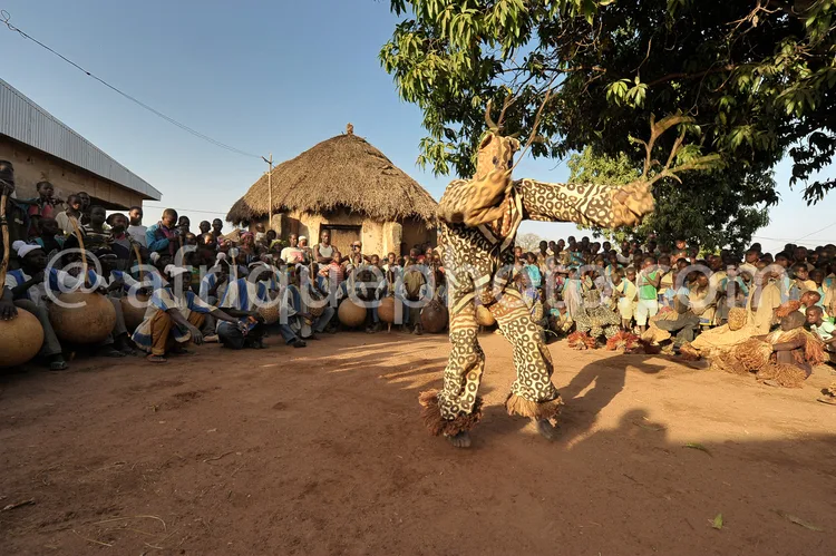 Africa photo — Un danseur vêtu d’un costume imitant la fourrure d’un léopard exécute une chorégraphie dynamique devant une foule assise sous un arbre
