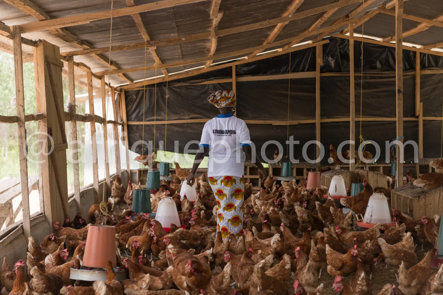 Africa photo — Un éleveur vêtu d’un t-shirt blanc et d’un pantalon à motifs colorés se tient dans un poulailler en bois, entouré de nombreuses poules