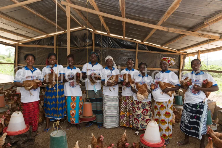 Africa photo — Un groupe de neuf femmes souriantes, vêtues de robes colorées et de t-shirts blancs, posent en cercle dans un poulailler en bois. Elles