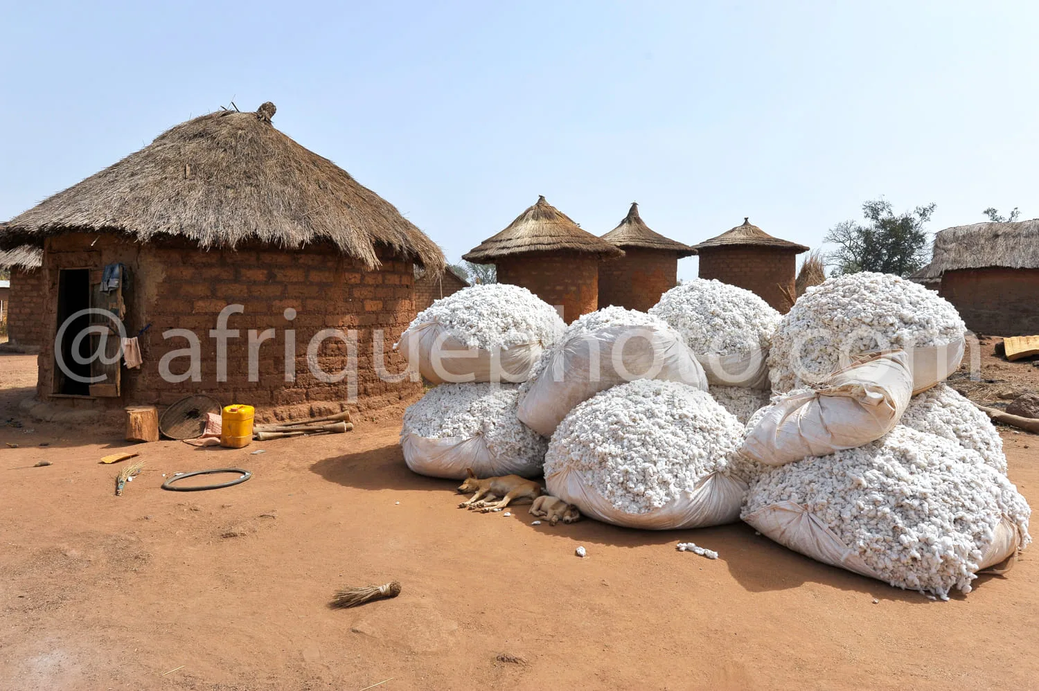 Africa photo — Image montrant plusieurs gros sacs remplis de céréales blanches posés sur un sol en terre battue devant une maison en torchis à toit de