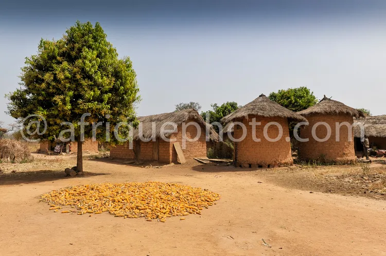 Africa photo — Une scène rurale montrant trois maisons en torchis avec toits de paille, entourées d’un arbre isolé. Au premier plan, un grand tas d’ar