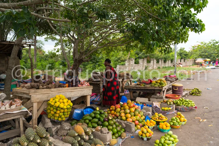 Africa photo — Une femme en tenue traditionnelle se tient près d’un étalage de fruits et légumes frais sous un grand arbre. On aperçoit des avocats, m