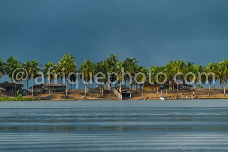 Africa photo — Une rangée de palmiers bordant une étendue d’eau calme sous un ciel bleu légèrement nuageux, avec quelques constructions en bois en arr