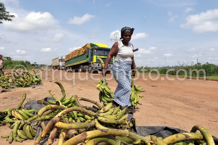 Africa photo — Une femme en tenue traditionnelle porte un gros régime de bananes vertes sur une route poussiéreuse, avec d'autres régimes entassés à s