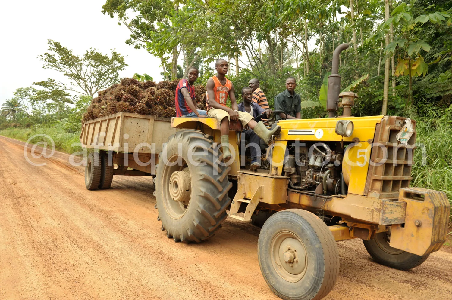 Africa photo — Un tracteur jaune remorque une remorque chargée de branches et de bois coupés sur une piste en terre, avec quatre hommes assis sur le t