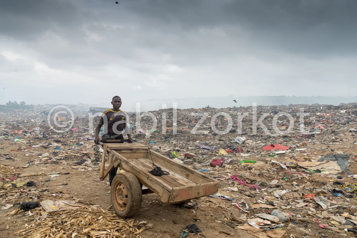 Africa photo — Un homme debout sur une charrette en bois à deux roues, remplie de déchets, se trouve dans une immense décharge à ciel ouvert remplie d