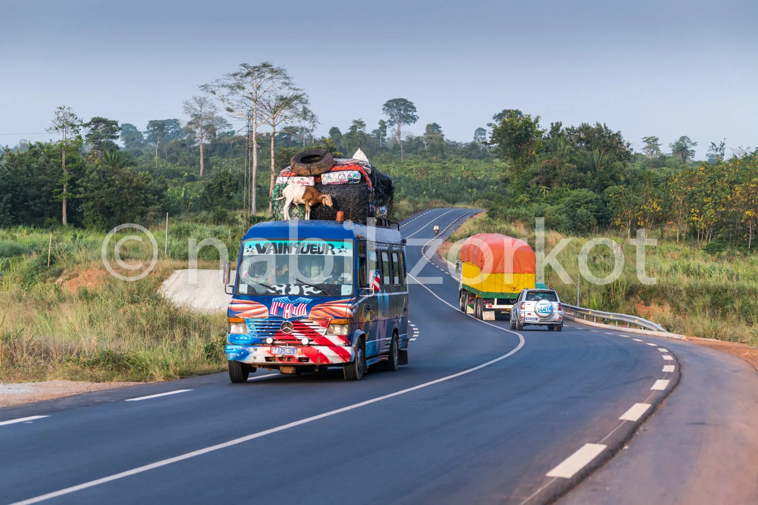 Africa photo — Un camion décoré de motifs colorés circule sur une route bitumée en transportant plusieurs vaches attachées sur sa plateforme, avec une