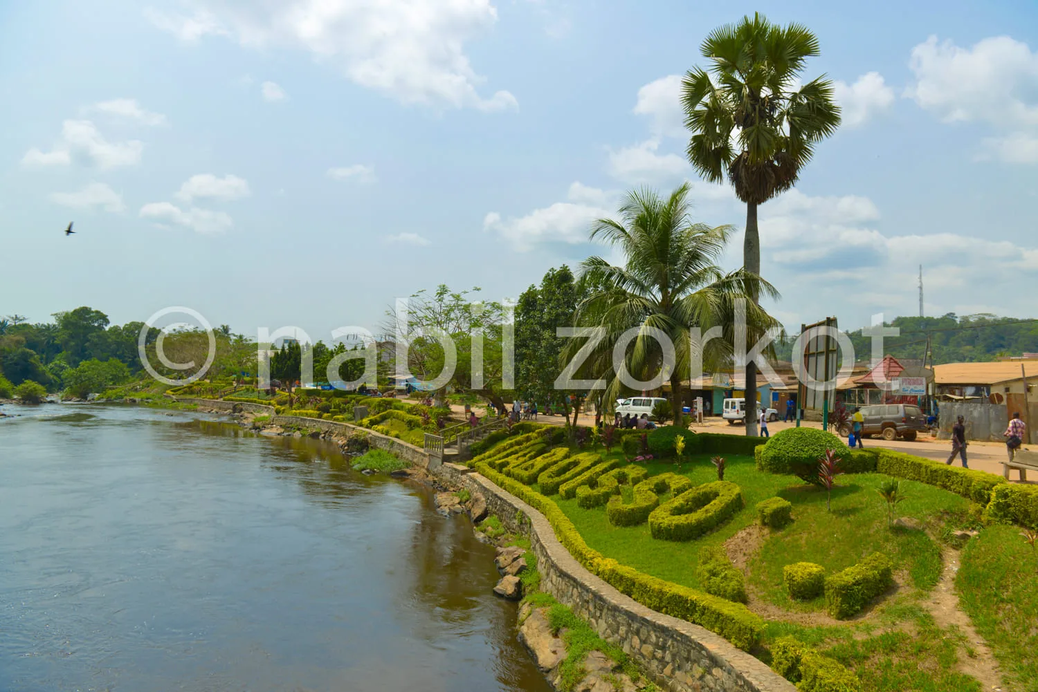 Africa photo — Une large promenade bien entretenue longe une rivière calme, entourée de haies taillées en formes géométriques et de palmiers imposants