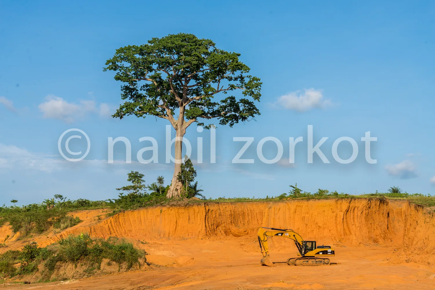 Africa photo — Un arbre imposant et isolé se dresse sur une colline de terre ocre, avec un excavateur jaune stationné en contrebas, sous un ciel dégag