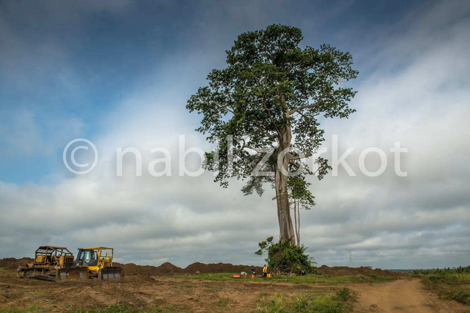 Africa photo — Un grand arbre solitaire au centre d’un chantier de terrassement avec un engin jaune à gauche et des tas de terre autour, sous un ciel
