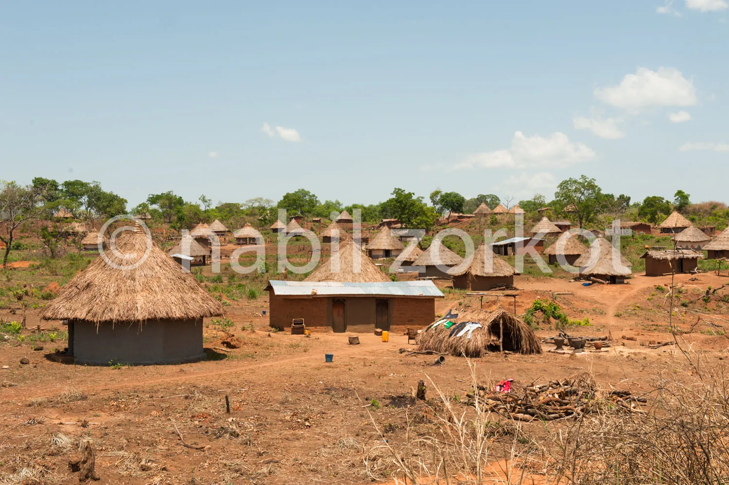 Africa photo — Un village composé de maisons en terre avec des toits de chaume, entourées de végétation sèche et de quelques arbres au loin, sous un c